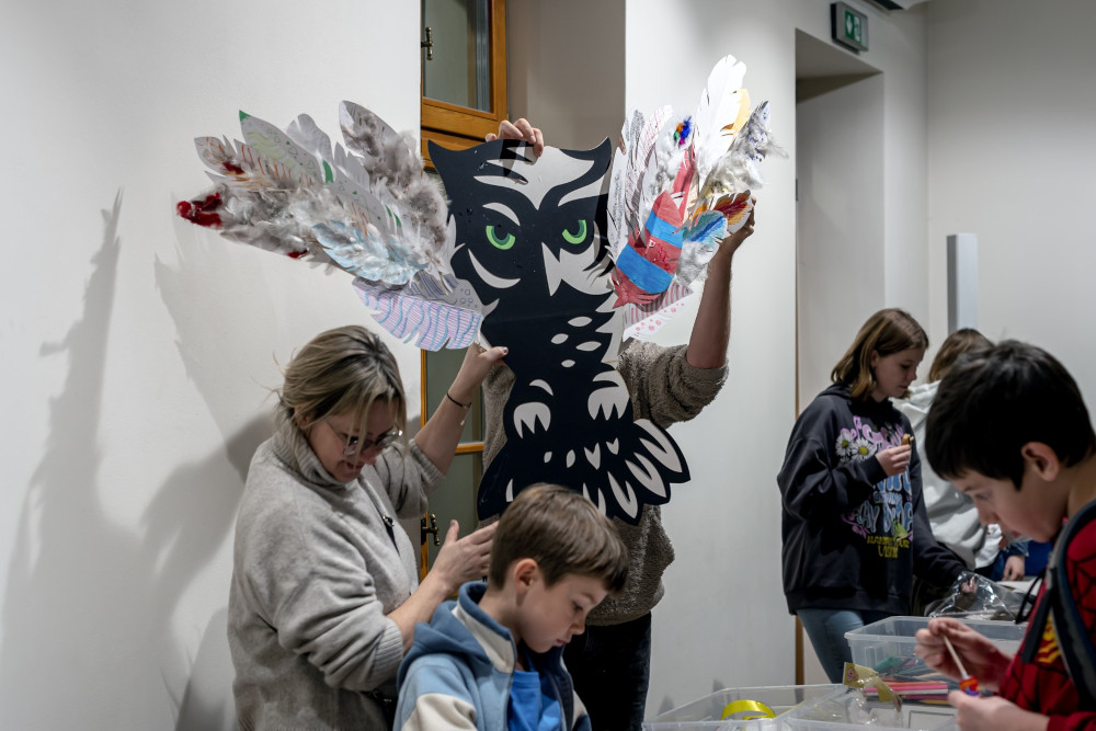 [ZDJĘCIA] O sowach w Miechowicach