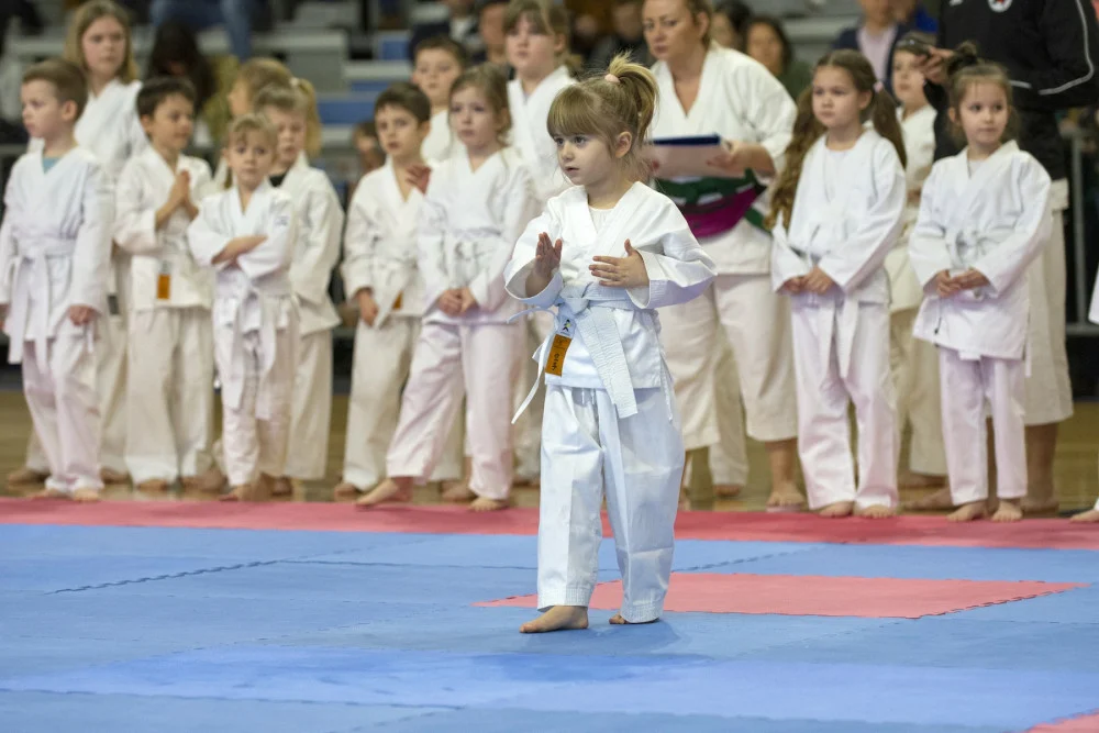 [ZDJĘCIA] Bytom na jeden dzień stał się Miastem Karate