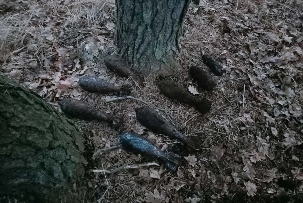 Porzucone w lesie powojenne niewybuchy. Znalazł je mieszkaniec Gostyni