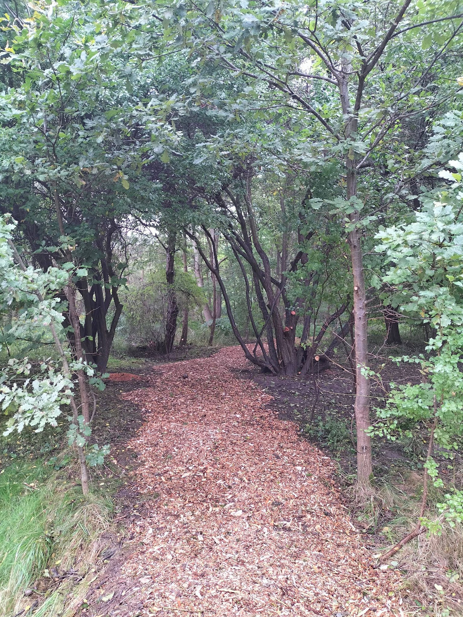 Mieszkańcy Kokocińca i Katowice z szansą na nagrodę "Super Samorząd"