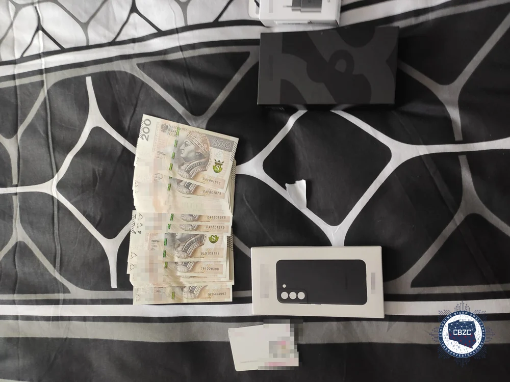 Odpowiedzą za oszustwa internetowe