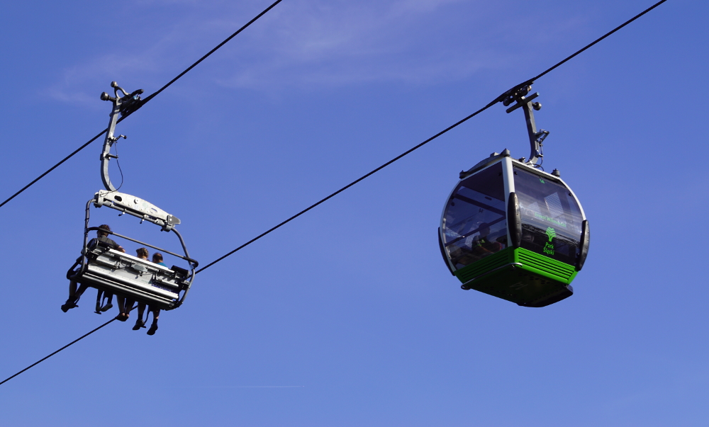 Nowa linia Elki zagraża zwierzętom w zoo? Park Śląski przekonuje, że nie ma takiej opcji