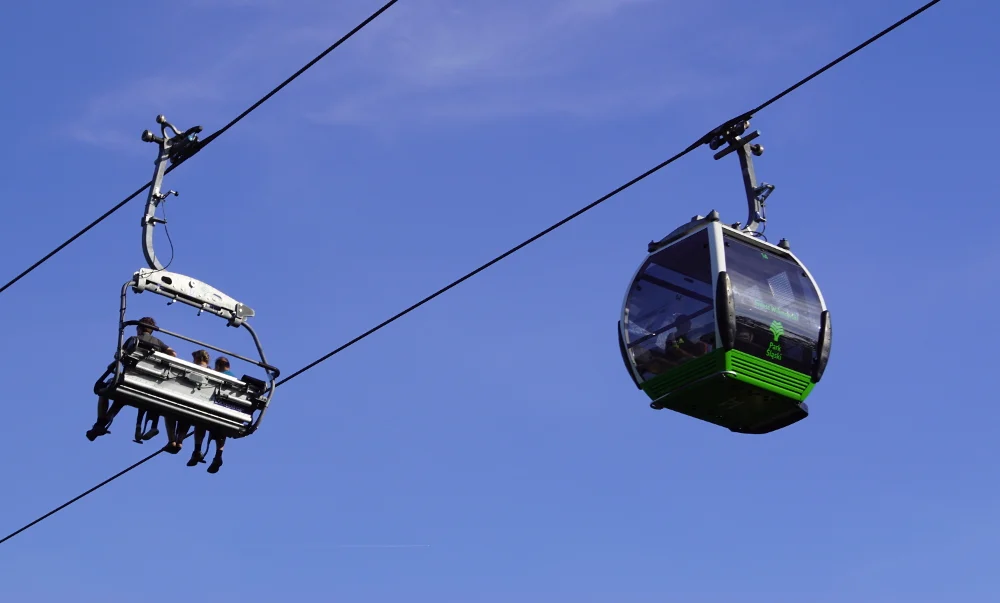 Nowa linia Elki zagraża zwierzętom w zoo? Park Śląski przekonuje, że nie ma takiej opcji