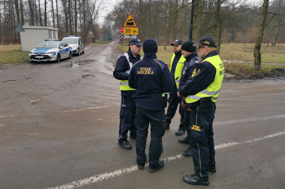 Śnieżna pantera zwiała z chorzowskiego zoo? Na szczęście to tylko ćwiczenia