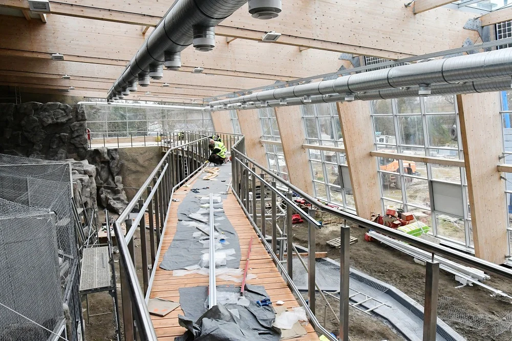 W chorzowskim ZOO powstaje imitacja lasu deszczowego. Znana jest już data jego otwarcia