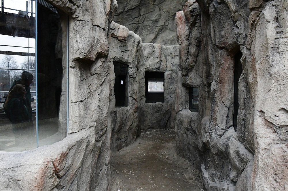 W chorzowskim ZOO powstaje imitacja lasu deszczowego. Znana jest już data jego otwarcia