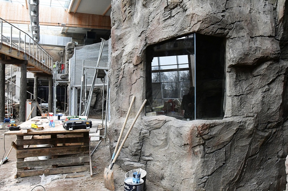 W chorzowskim ZOO powstaje imitacja lasu deszczowego. Znana jest już data jego otwarcia