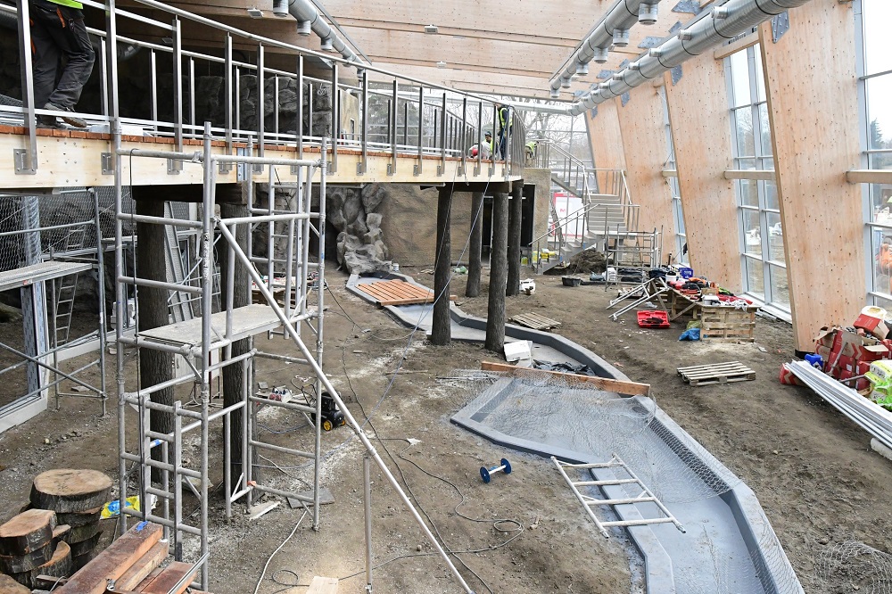 W chorzowskim ZOO powstaje imitacja lasu deszczowego. Znana jest już data jego otwarcia