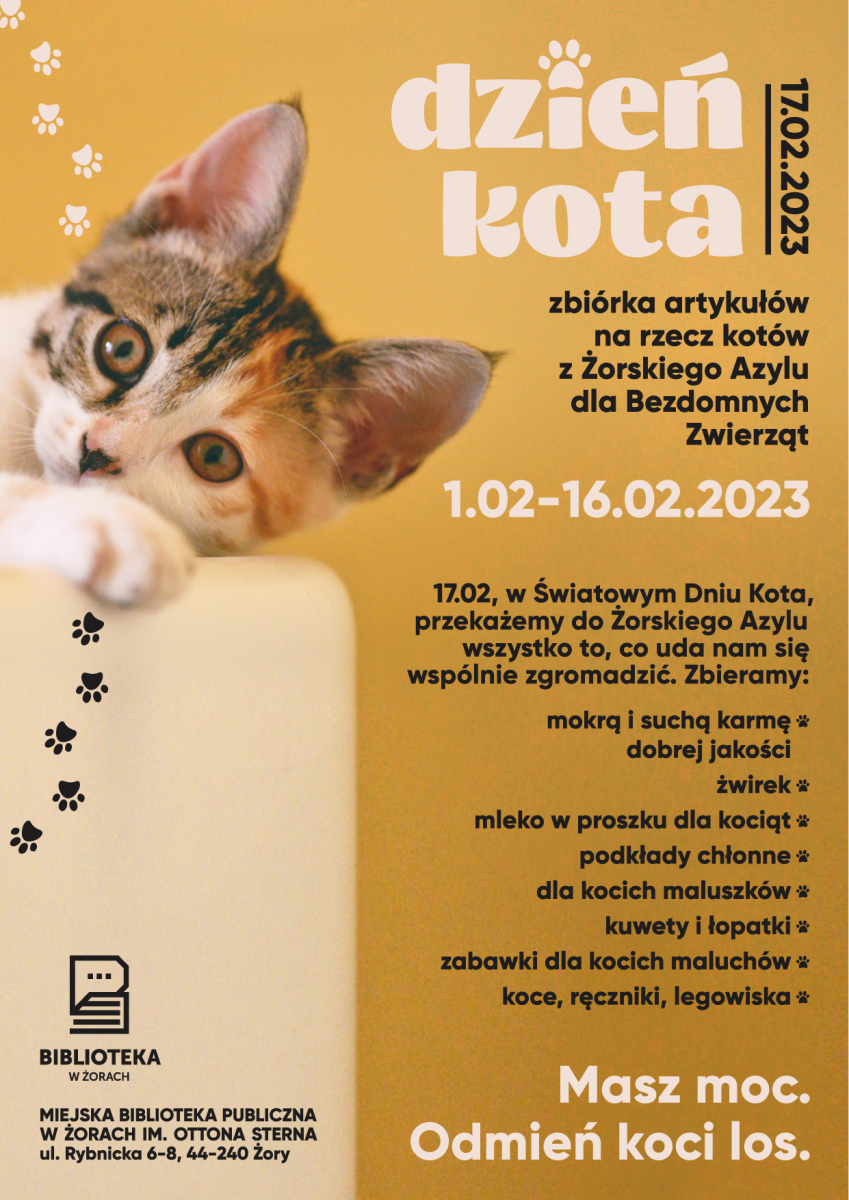 Masz moc - odmień koci los! Trwa zbiórka z okazji Światowego Dnia Kota