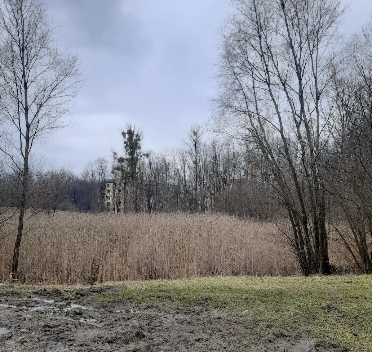 Ankieta dotycząca zagospodarowania terenów zielonych przy zbiegu ulic Bytomskiej i Ślęzan