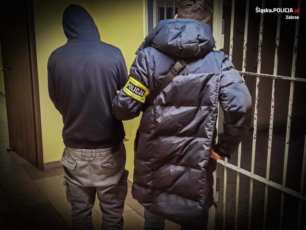 Areszt dla podejrzanego o zgwałcenie nastolatki [FILM]