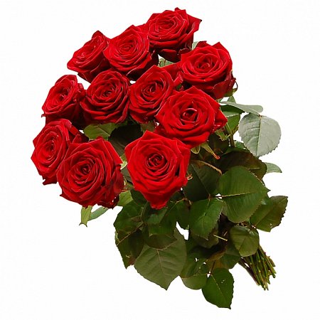 Kwiaty na Dzień Kobiet. Róże, tulipany, goździki? Jakie kwiaty wybrać?