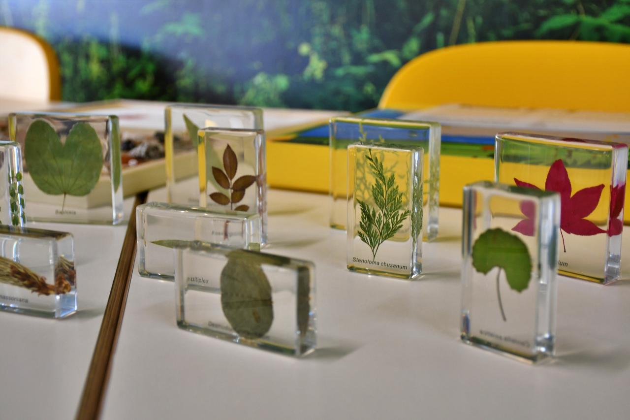 "Leśna Przystań" w SP nr 35 już otwarta! / fot. Jacek Knapik 10