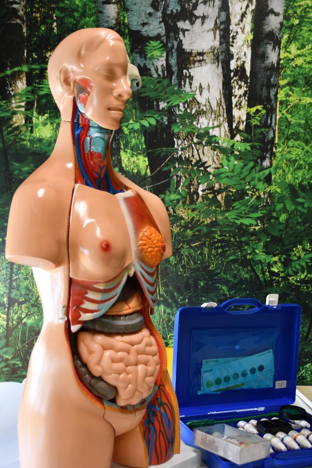 "Leśna Przystań" w SP nr 35 już otwarta! / fot. Jacek Knapik 12