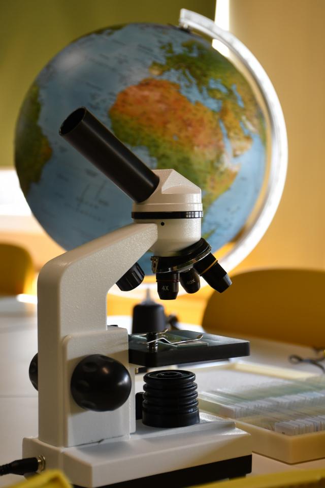 "Leśna Przystań" w SP nr 35 już otwarta! / fot. Jacek Knapik 13