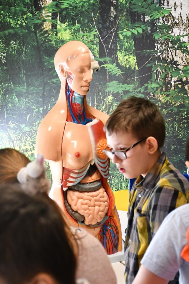 "Leśna Przystań" w SP nr 35 już otwarta! / fot. Jacek Knapik 40