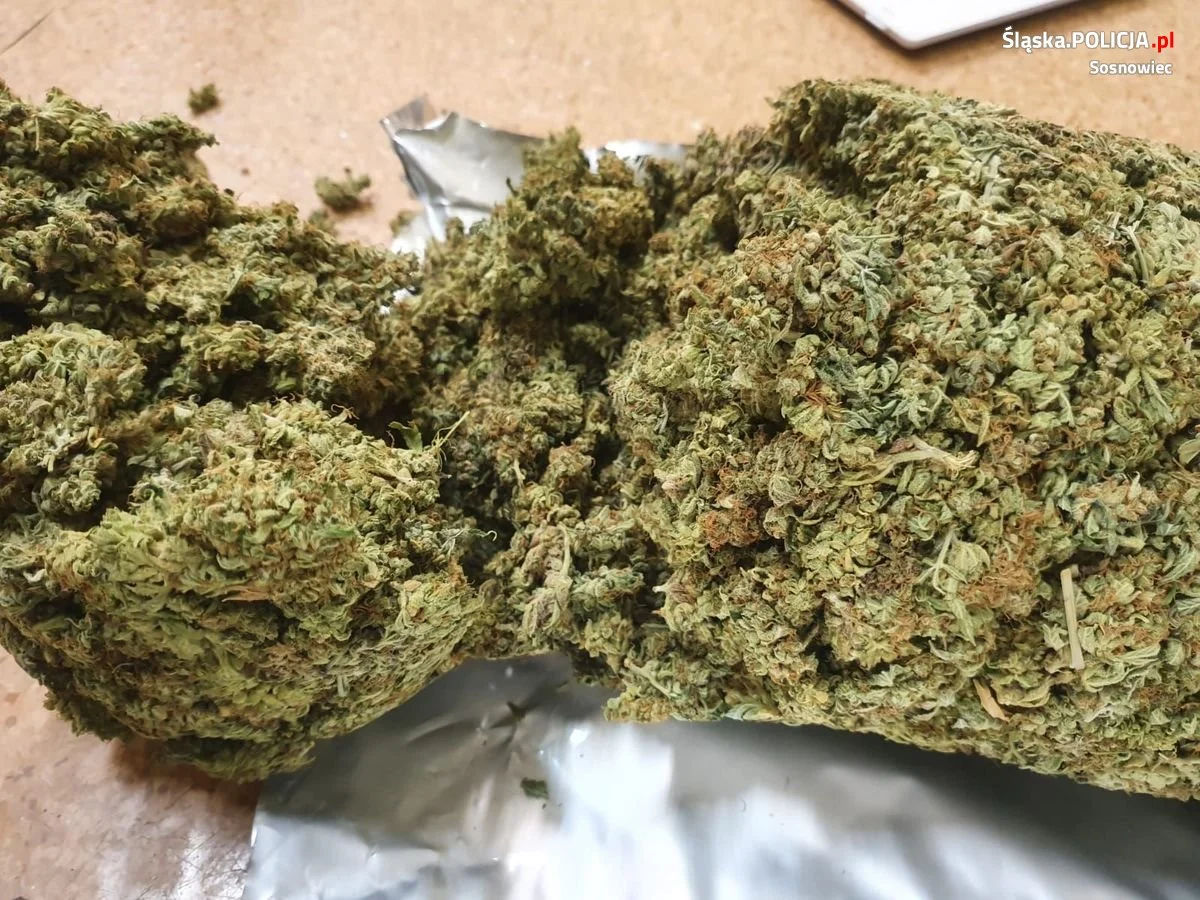 Sosnowiec: Amfetamina, metaamfetamina i marihuana w mieszkaniu 42-latka! Mężczyznę czeka tymczasowy areszt