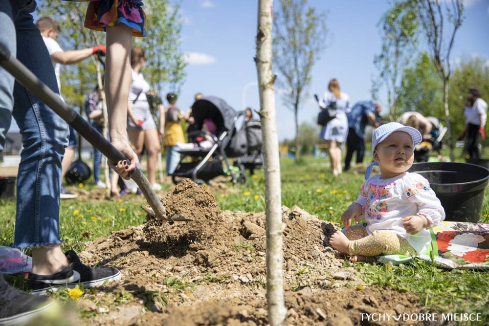 Posadź drzewo dla swojego dziecka!