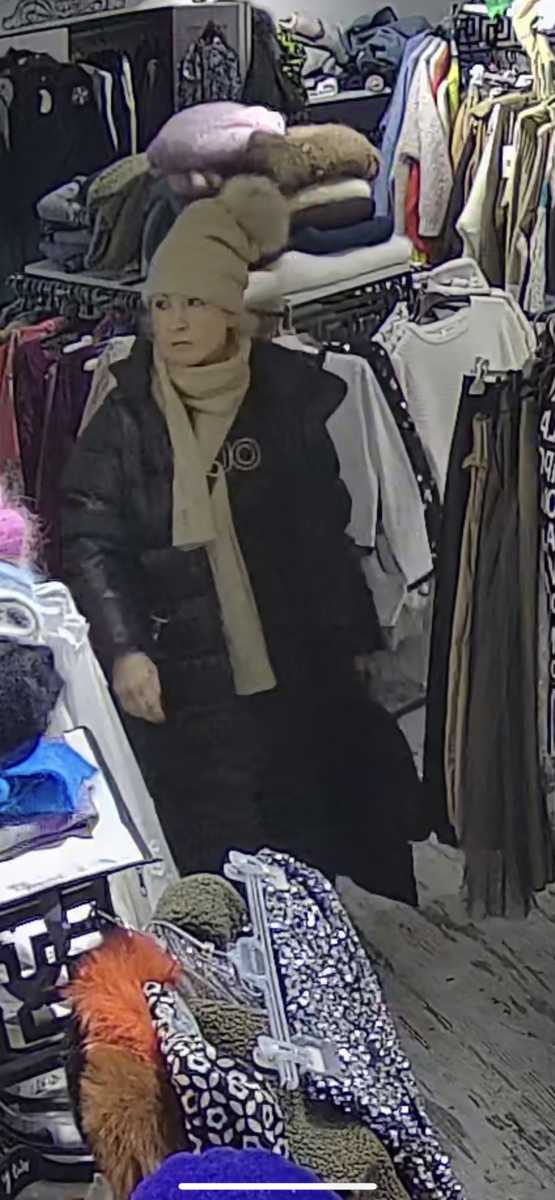 Wiesz coś o kradzieży lub rozpoznajesz kobietę ze zdjęcia? Powiadom Policję!