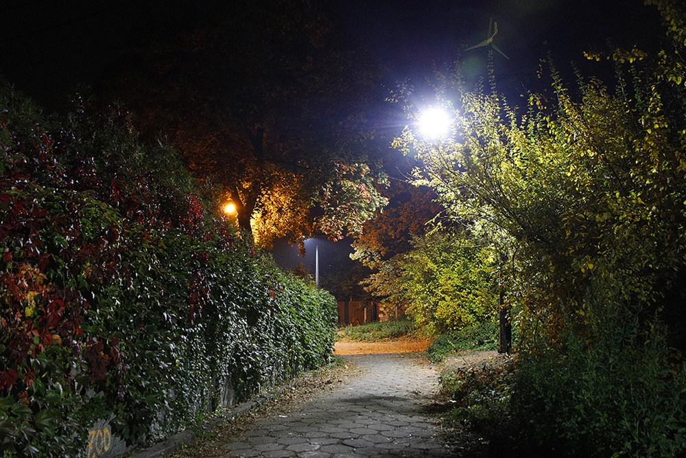 Świecenie ekologicznie i oszczędnie. Oszczędności w Siemianowicach Śląskich