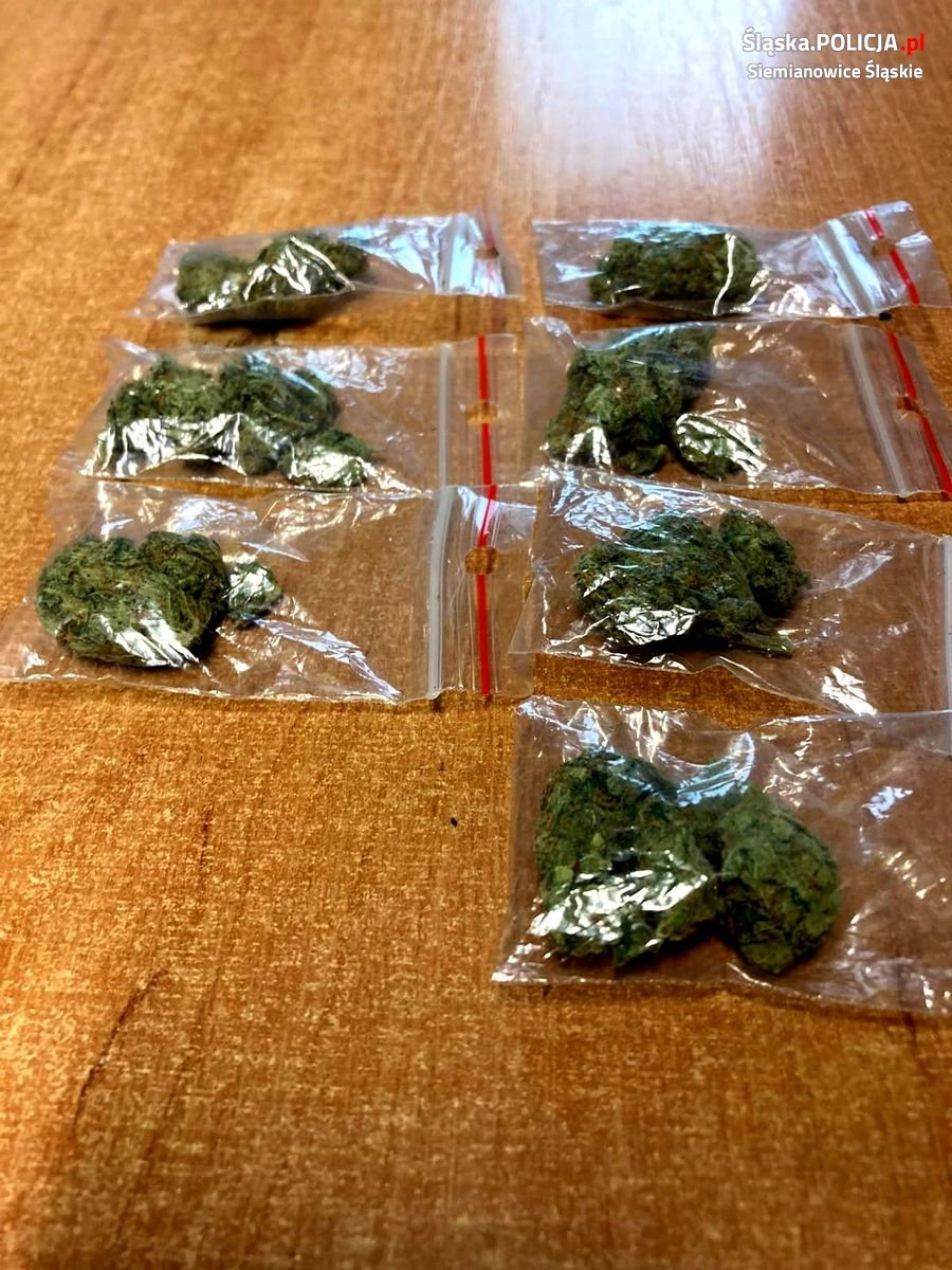 Siemianowice Śląskie: Poniesie odpowiedzialność karną za "znalezione" narkotyki!