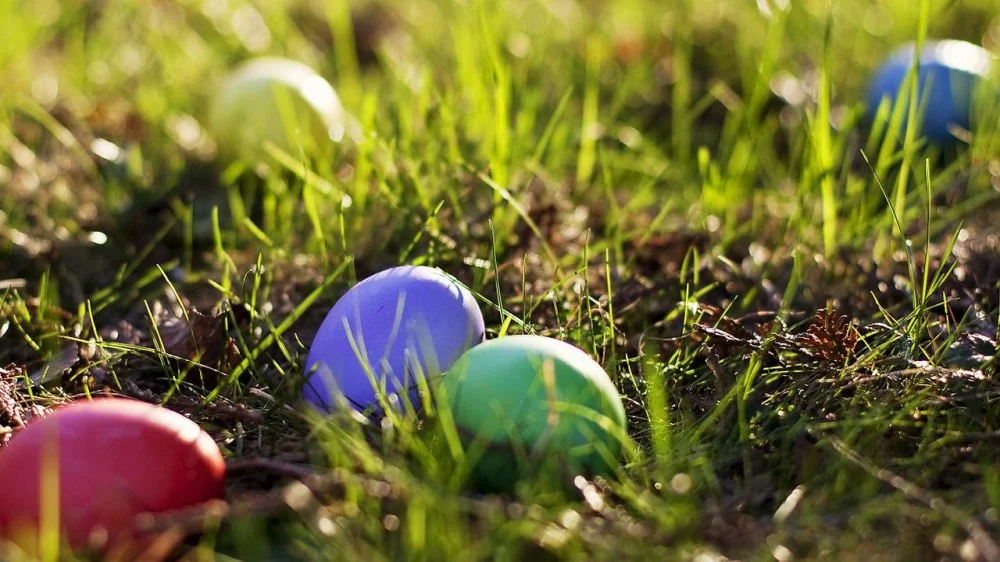 Zbieranie wielkanocnych jajek w Piekarach Śląskich. Sprawdź harmonogram