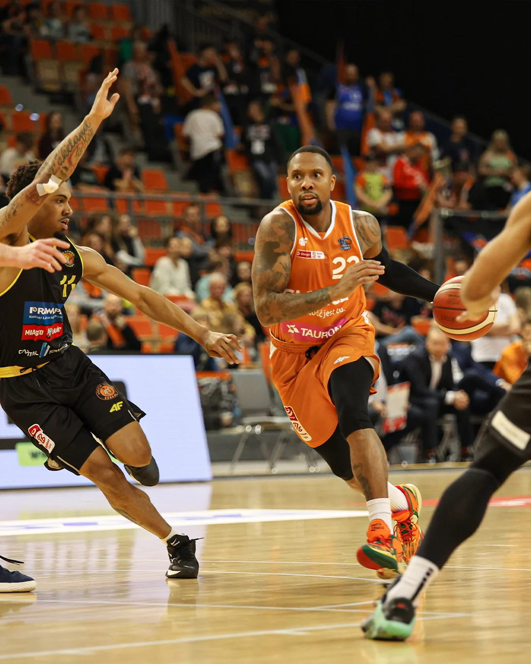 Gliwice: Tauron GTK ograł Sokoła!