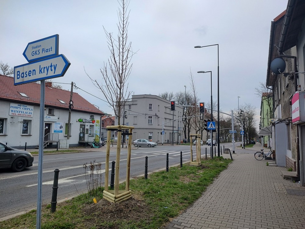 Przybywa drzew w Gliwicach. Gdzie zrobiło się zielono?