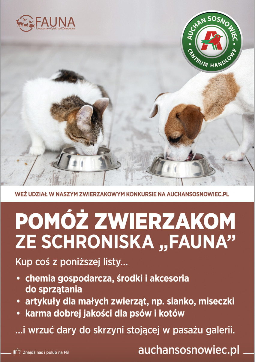 Weź udział w zbiórce i pomóż zwierzakom ze schroniska "Fauna" z CH Sosnowiec