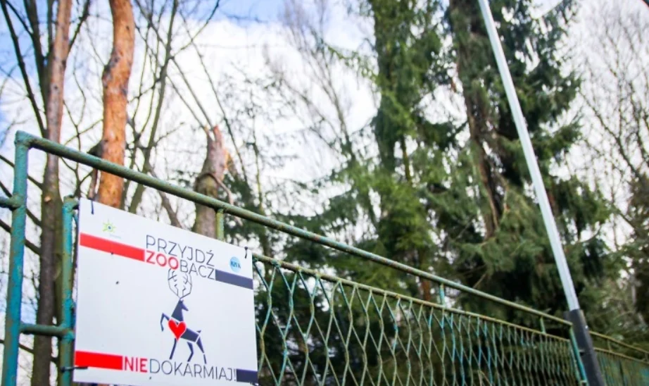 Sosnowiec: Kamery zwiększą bezpieczeństwo w mini zoo