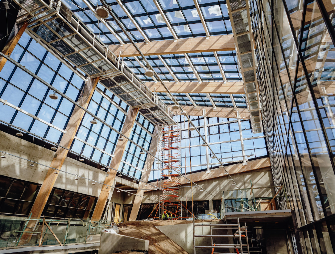 Sosnowieckie Egzotarium coraz bliżej 2