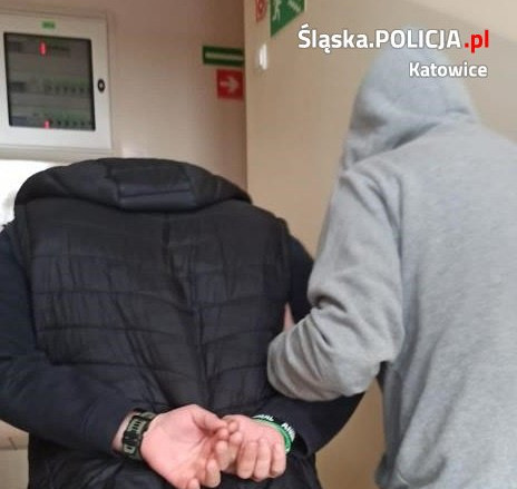 Katowiccy policjanci zlikwidowali domową uprawę marihuany