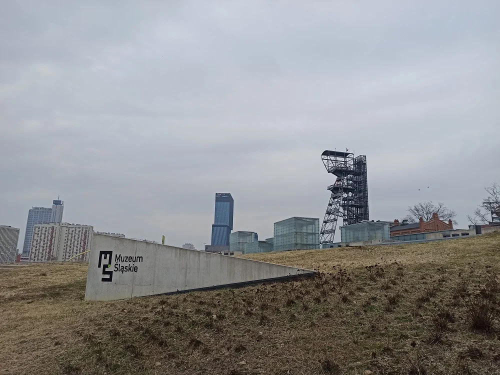 W Katowicach trwa III Kongres Tańca. Obrady można śledzić w Muzeum Śląskim i online