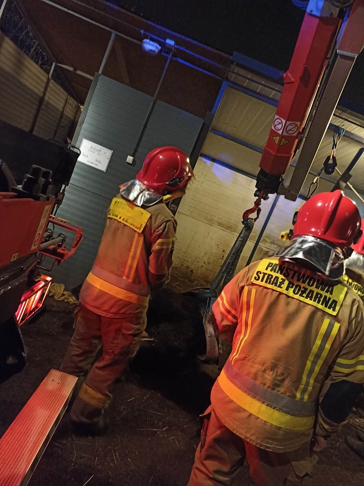 Katowice: Strażacy z OSP w Szopienicach w środku nocy pomogli schorowanemu koniowi