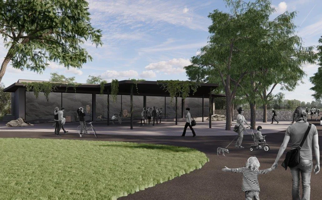 Nowa inwestycja w Śląskim Ogrodzie Zoologicznym. Lwy zyskają nowy dom