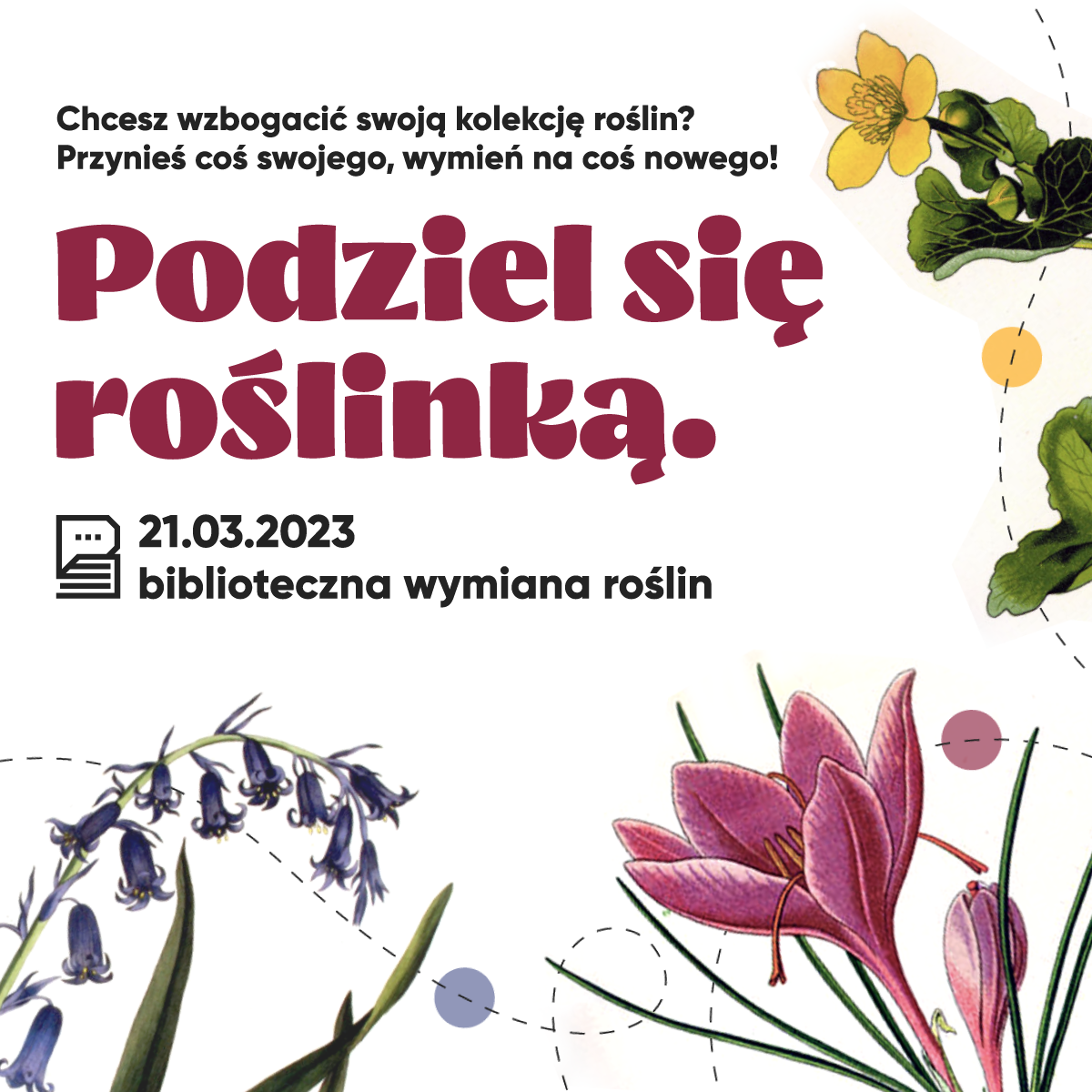Weź udział w akcji "Podziel się roślinką" i znajdź roślince nowy dom