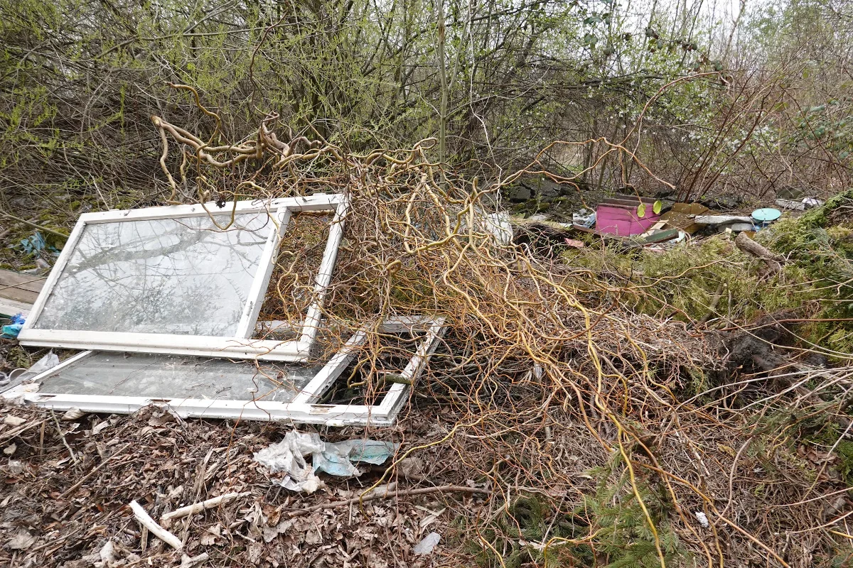 Pracownicy gospodarczy zajmują się porządkowaniem i pielęgnacją zielonych obszarów