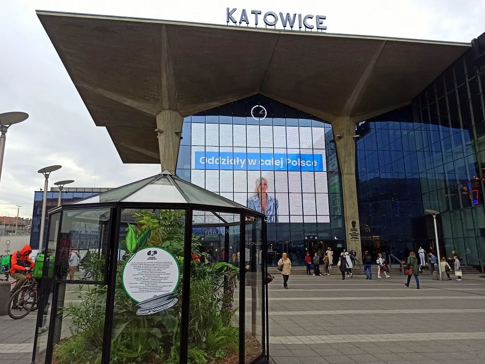 Przed Galerią Katowicką ustawiono gigantyczny las w słoiku. Będzie zdobił plac do września