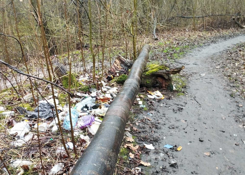 Ruda Śląska: Puszcza Kokotek została zaśmiecona. Teren ten w końcu zostanie uprzątnięty