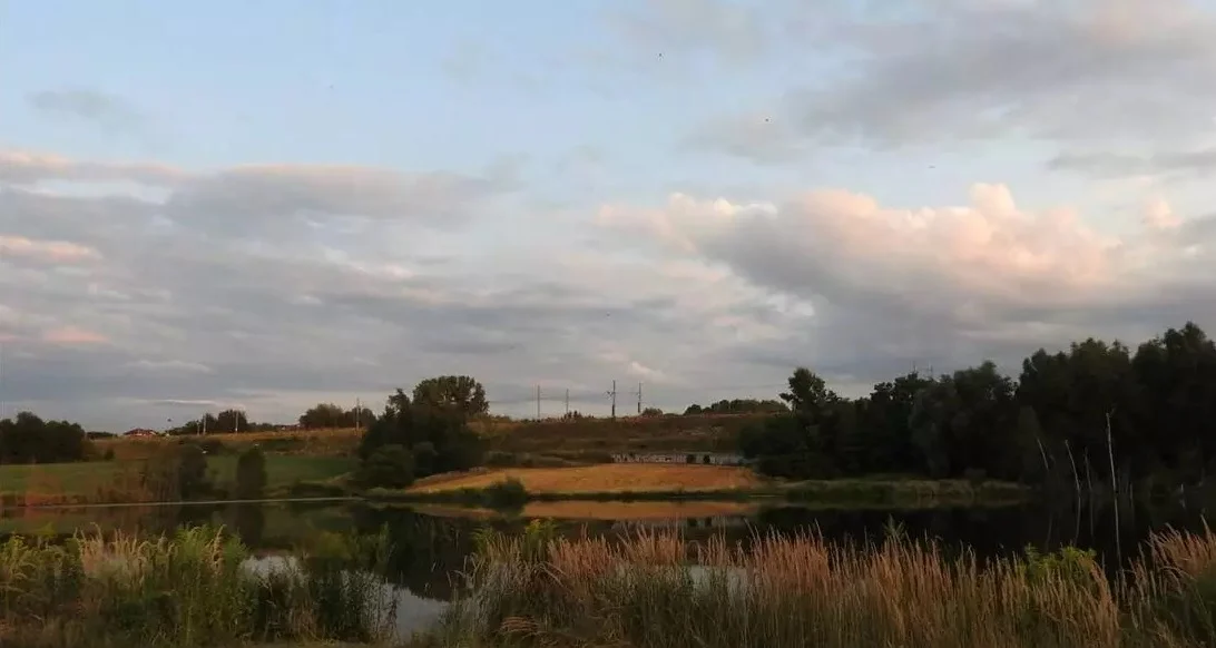 W Dolinie Kochłówki powstanie użytek ekologiczny?