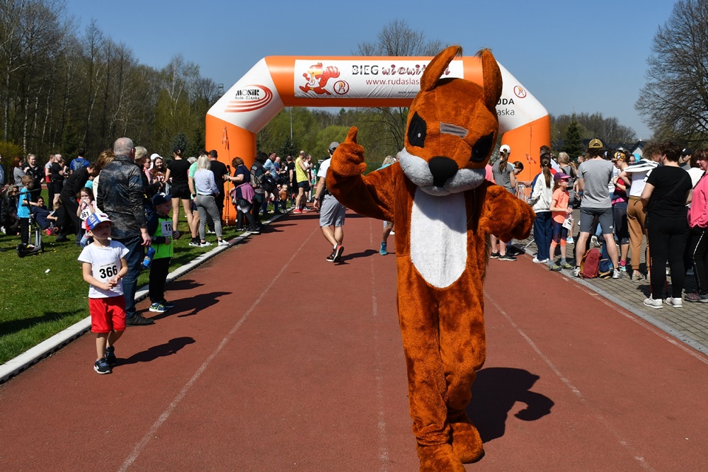 Bieg Wiewiórki 21