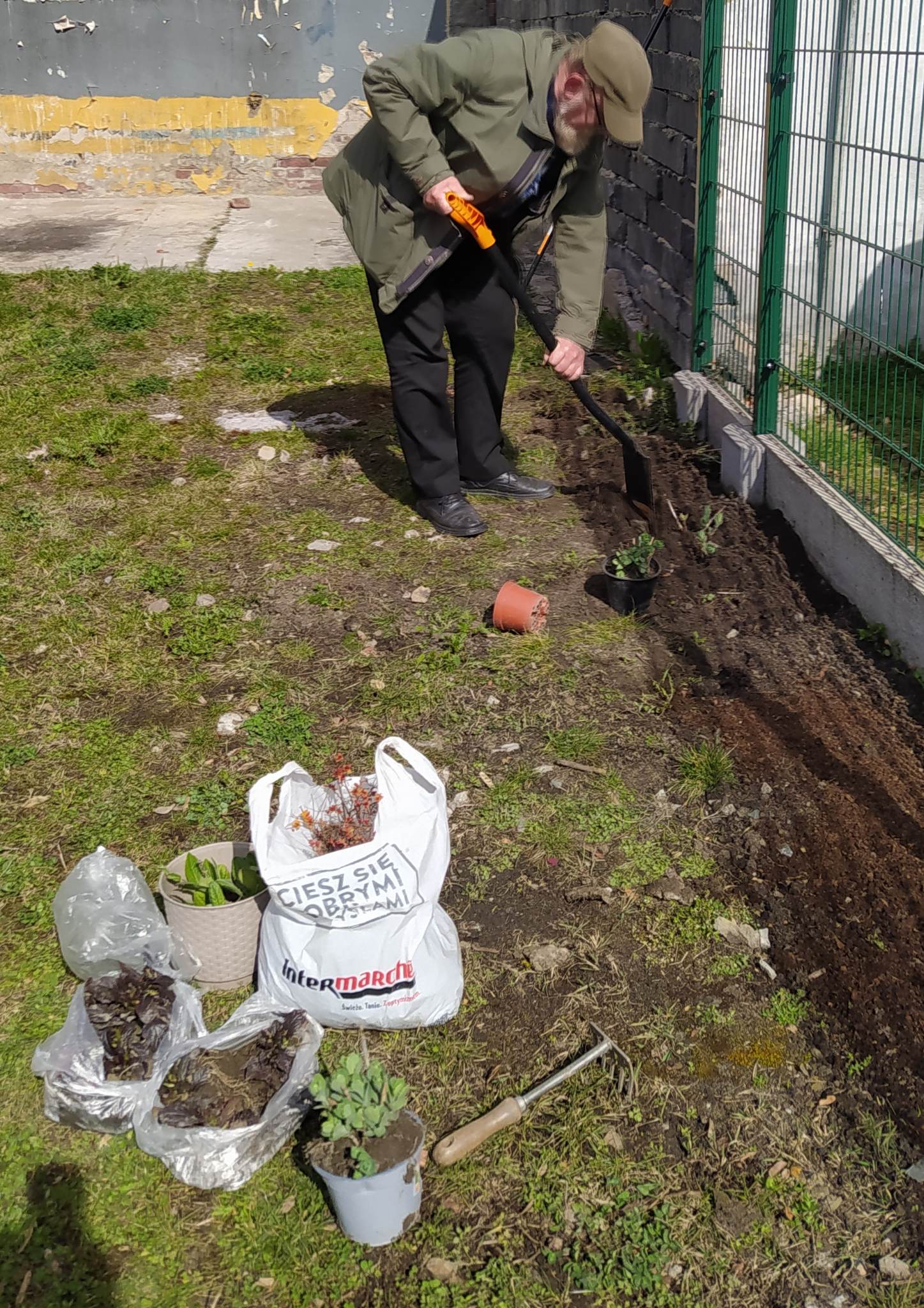 Zielone Muzeum Miejskie 4