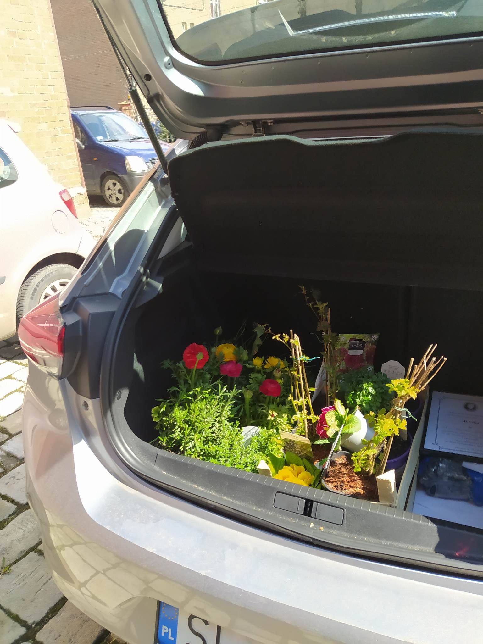 Zielone Muzeum Miejskie 5