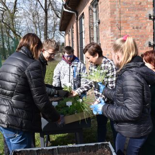 Zielone Muzeum Miejskie 6