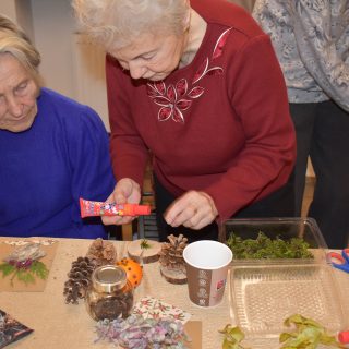 Zielone Muzeum Miejskie 9