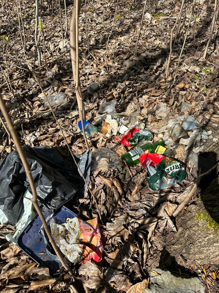 Posprzątali tereny zielone w Bielszowicach. Mieszkańcy mobilizują się do działania!