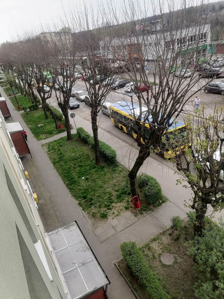 Mieszkańcy Halemby swój czas spędzają w korkach. Ogromne utrudnienia w godzinach szczytu