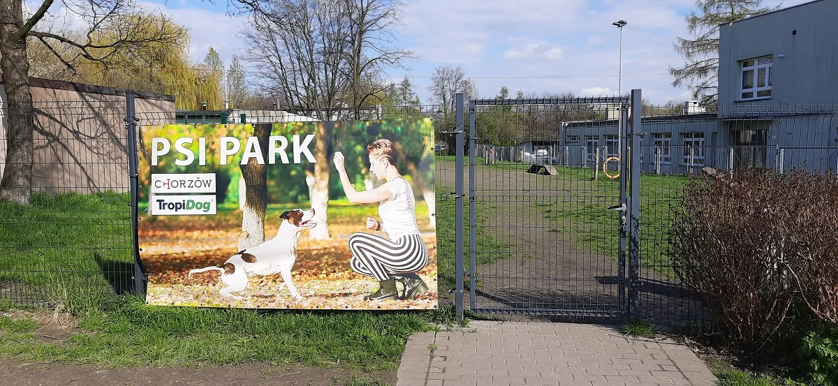 Gdzie w mieście wybrać się z psem na spacer? Sprawdź listę 20 wybiegów dla psów na Śląsku