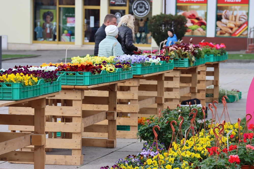 Co będzie się działo w Wodzisławiu Śląskim? Sprawdź program wydarzeń na kwiecień