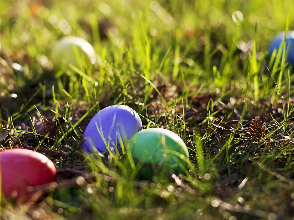 "Szukanie zajączka" w Orzeszu. Zapisz się!